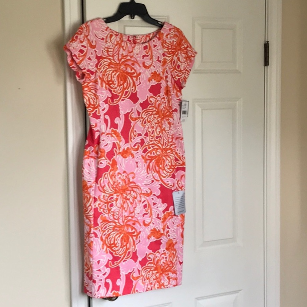 Taylor Knee Length Dress NWT Sz 6